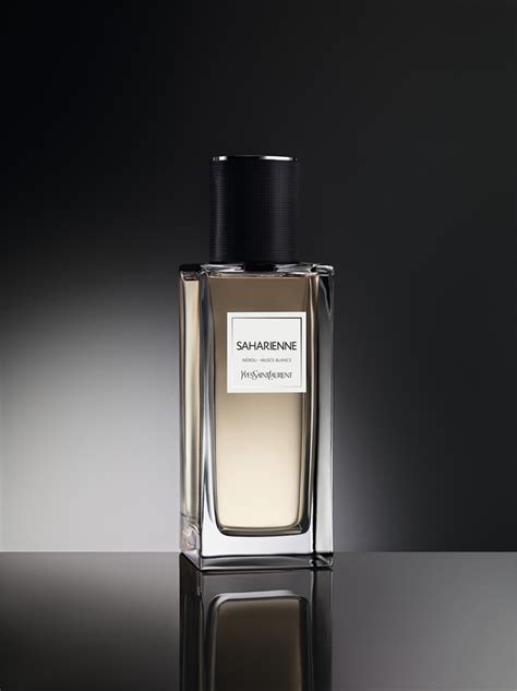 Saharienne Yves Saint Laurent for women and men.